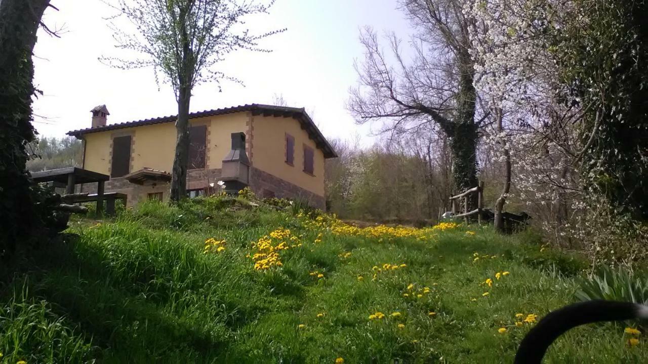 Il Gelso Rosso Apartman Comunanza Kültér fotó